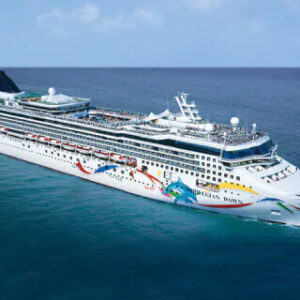 NORWEGIAN DOWN